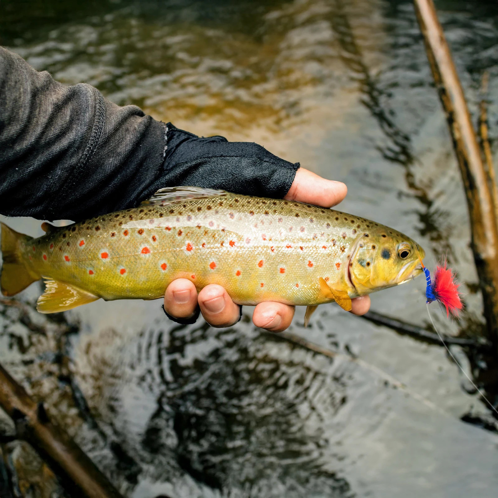 Kit de pesca con mosca Goture – Ninfas y secas para trucha - imagen 5
