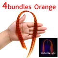 Orange 4 Bundles