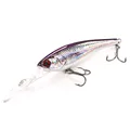 purple minnow