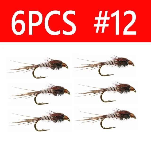 6PCS