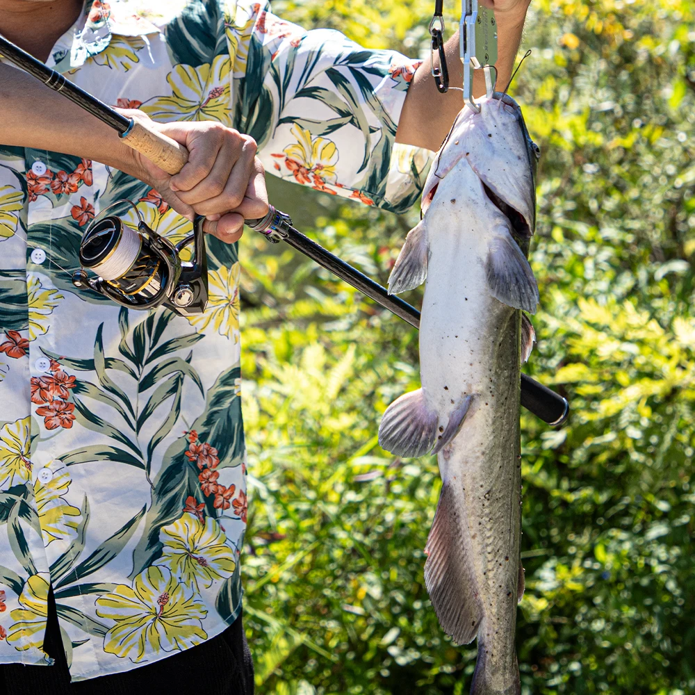 Caña en posición de pesca