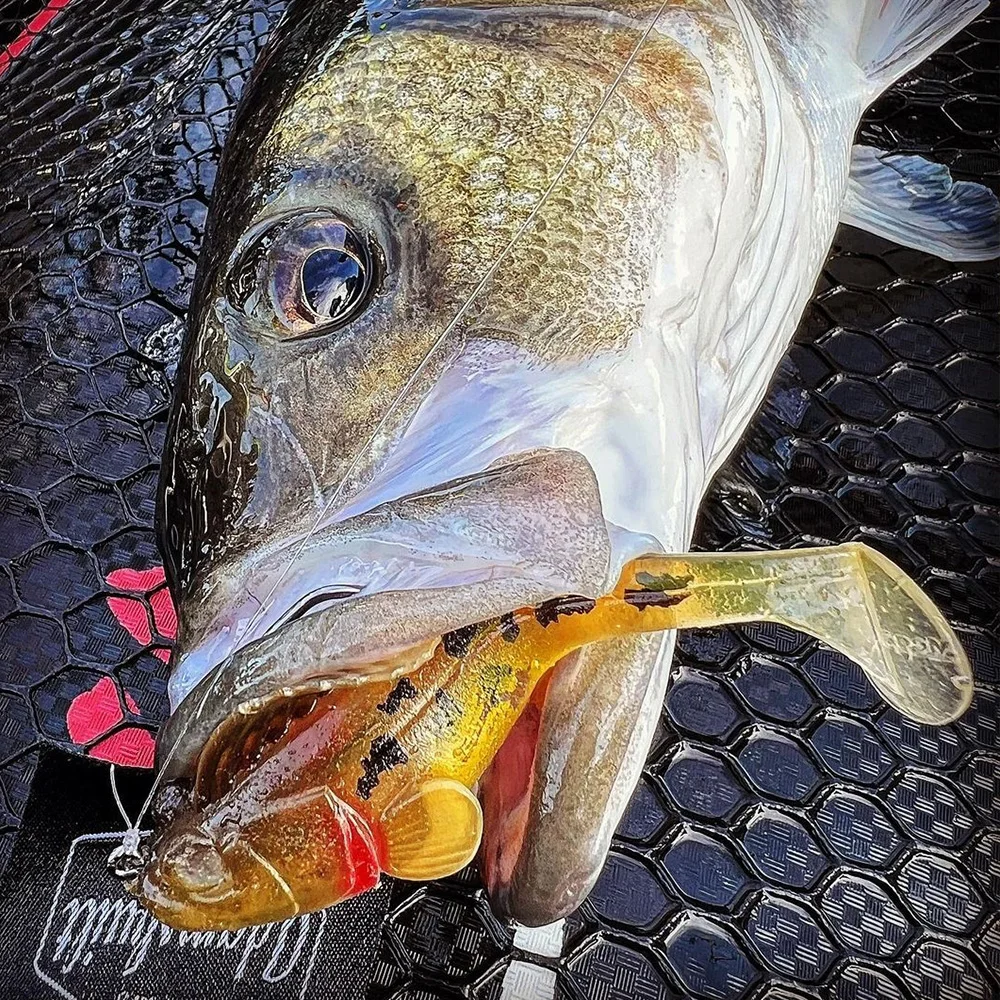 1/3/5 Uds. Señuelos de pesca de plástico blando 6,5 cm 12g 9cm 22g Shad Swimbait Pike Bass perca Walleye Zander pesca Softbait - imagen 4