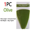 1PC Olive