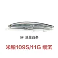 109S-11g-05