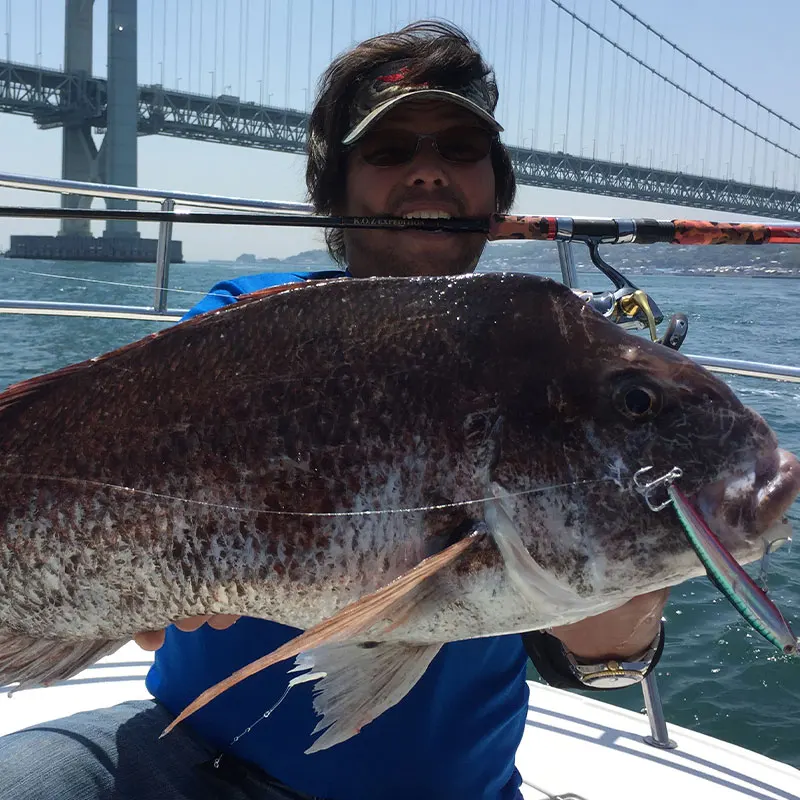 Señuelo Y-S81, importado de Japón con embalaje Original, mejora la resistencia a la corrosión de anzuelos gigantes y pesca en el mar - imagen 4