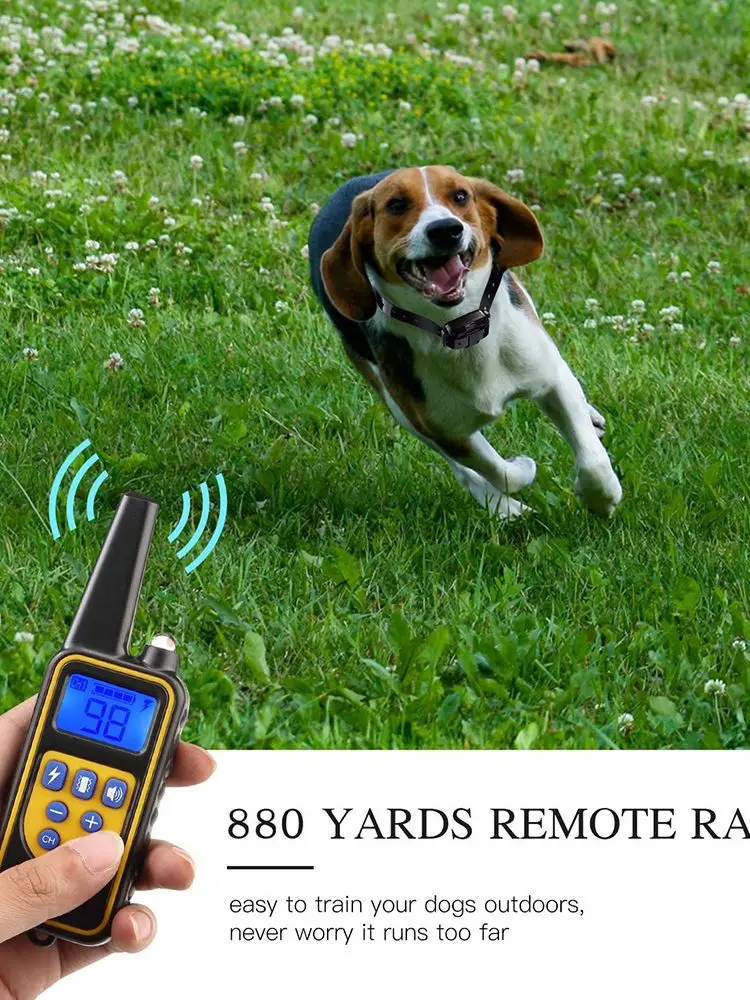 Collar de entrenamiento Digital para perros de 800m, resistente al agua, recargable, Control remoto, mascota con pantalla LCD para todos los tamaños, sonido de vibración de choque - imagen 5