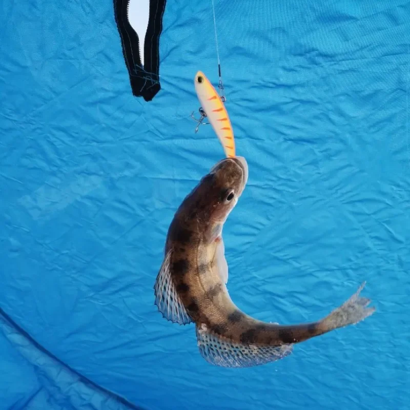 Señuelos de pesca en hielo Teknik VIB, 80mm, 16g, crankbaits sin labios, cebo Rattlin que se hunde, wobbler Artificial, Lucio, invierno, IMA Koume - imagen 2