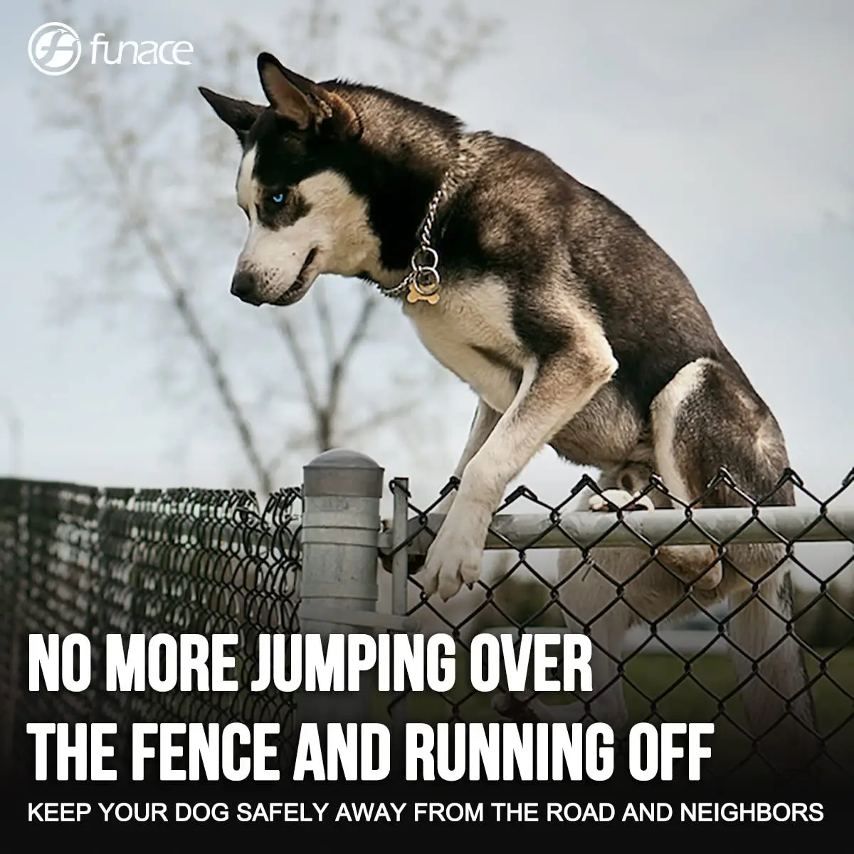 Sistema inalámbrico de cercado para perros: cercado eléctrico para perros Tecnología satelital eléctrica, rango de sistema de cercado para mascotas - imagen 4