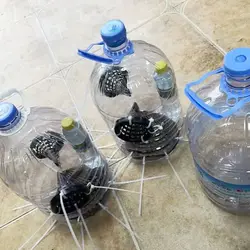 Cubre jaula trampa de pesca rectangular de plástico para cebos