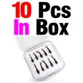 10pcs in box