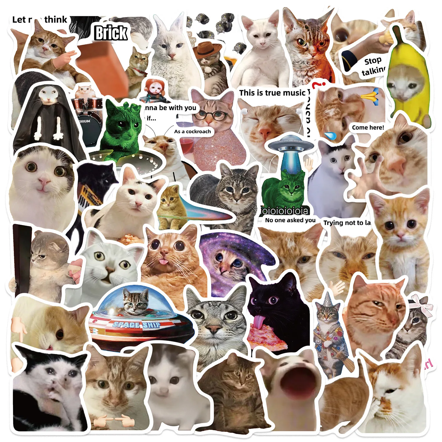 Gato Meme divertido – Pegatinas impermeables para móvil y guitarra