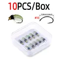 10pcs flies with Box