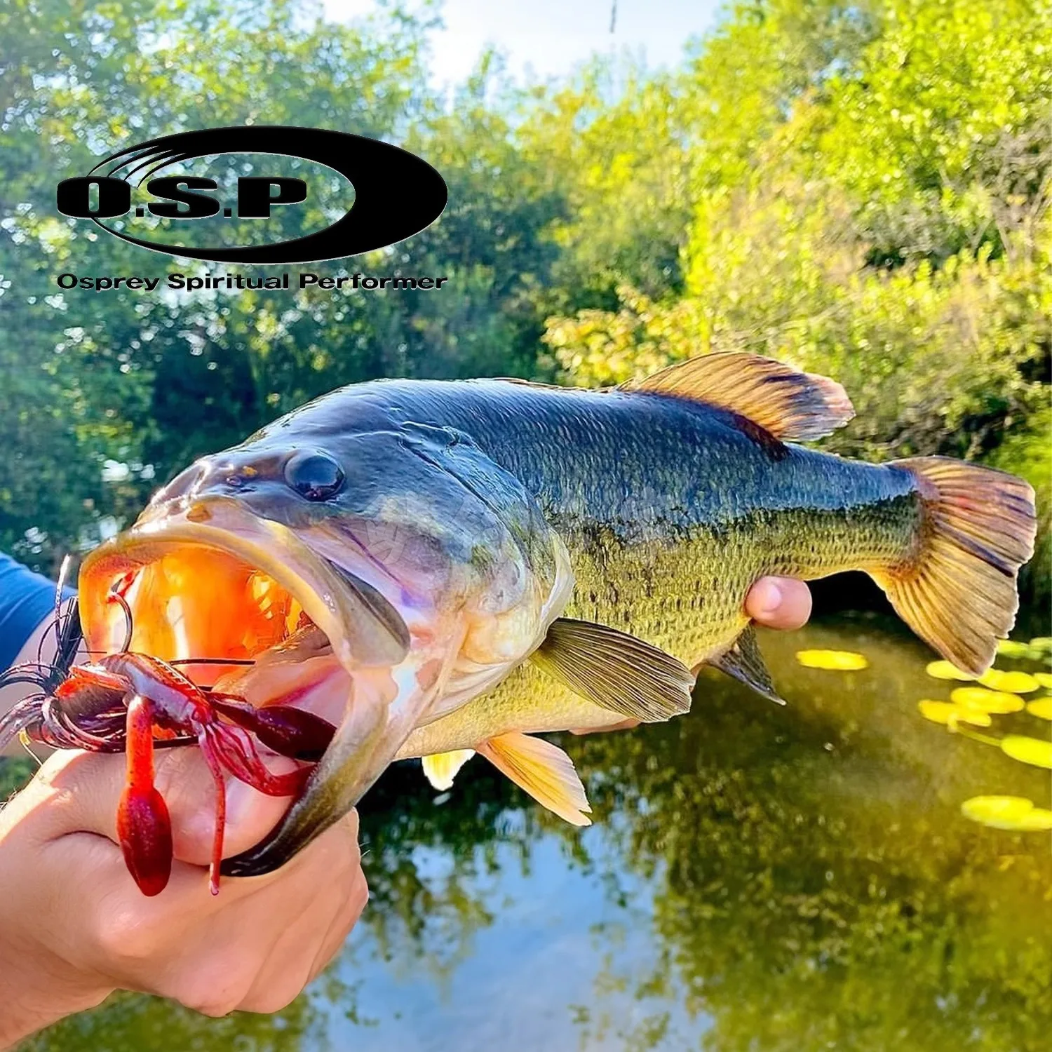 Japón O.S.P OSP DoLive Craw cangrejo Minori Namiki cebo blando señuelo Dezhou JIG Trailing - imagen 3