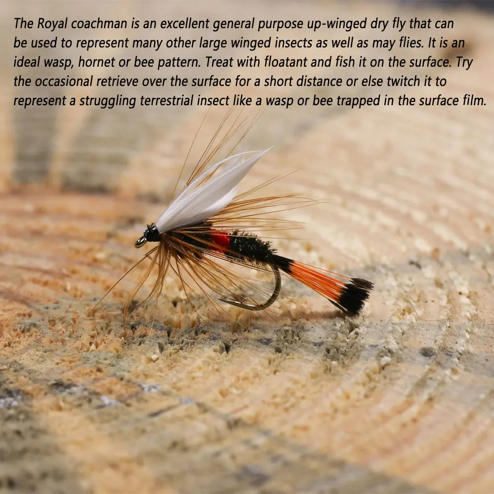 Bimoo 6PCS # 10 blanco Drake Wing Royal Coachman Fly Royal Wulff mosca seca pavo real Herl pluma mayo mosca trucha Señuelos de pesca cebos - imagen 5