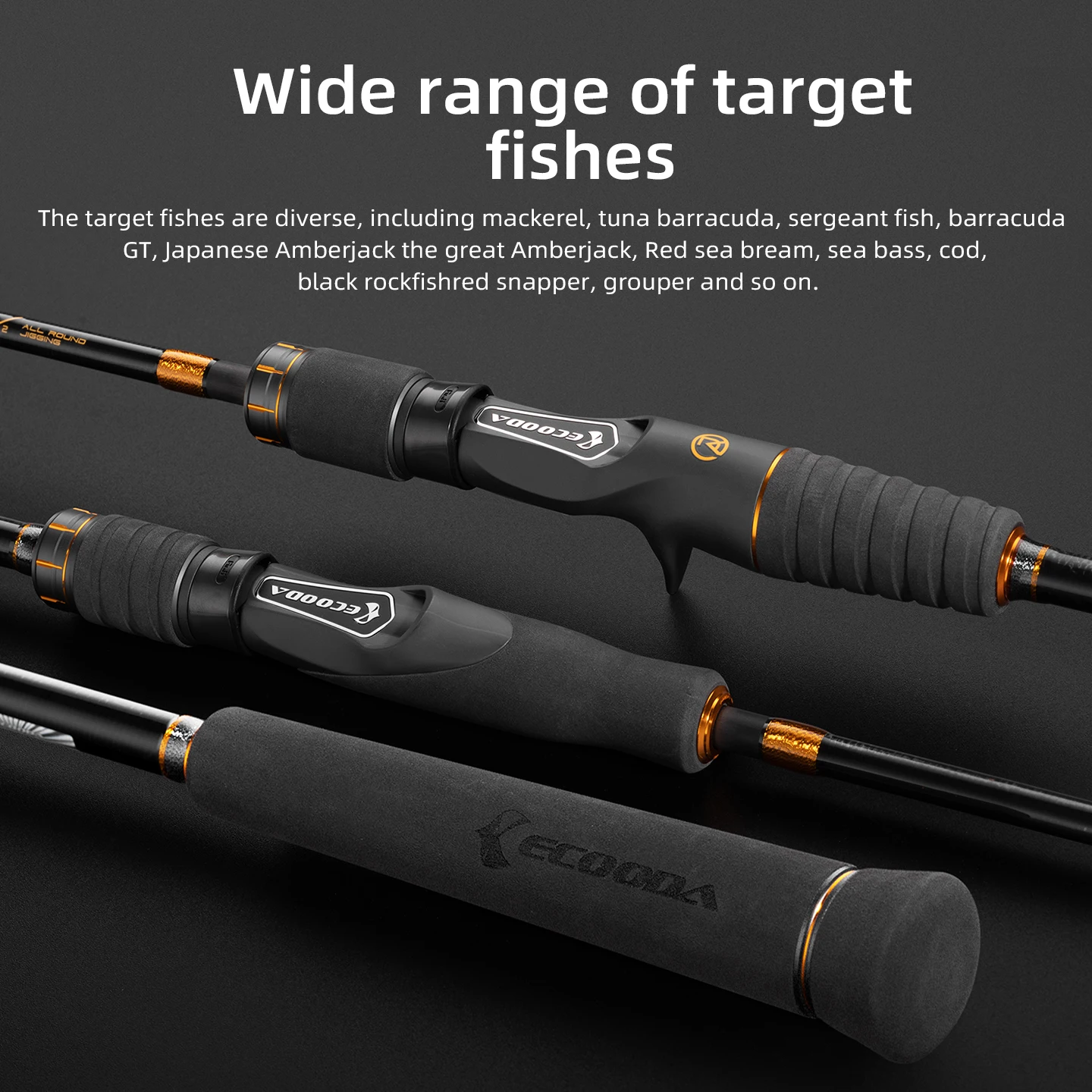 Caña Jigging Ecooda Avanzato EARJ – Carbono 30T guías Fuji - imagen 5
