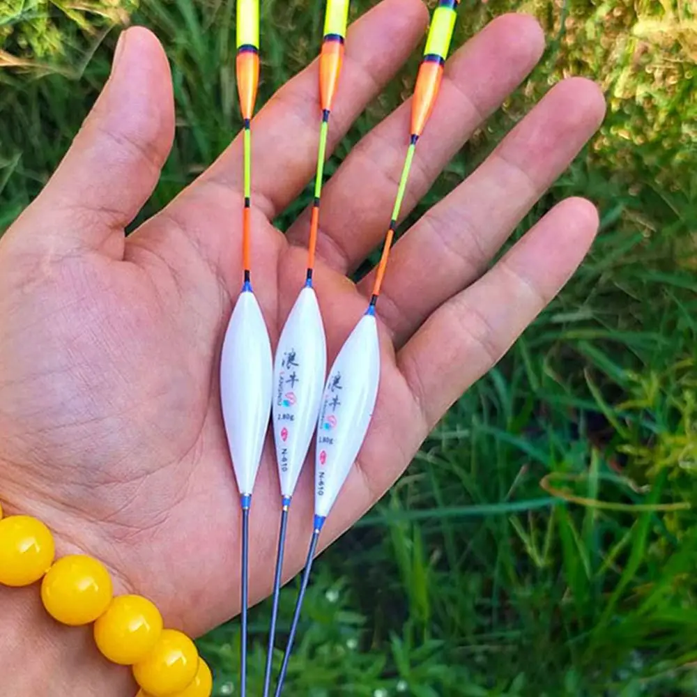 Descubra el arte de precisión con nuestras vibrantes carrozas de pesca