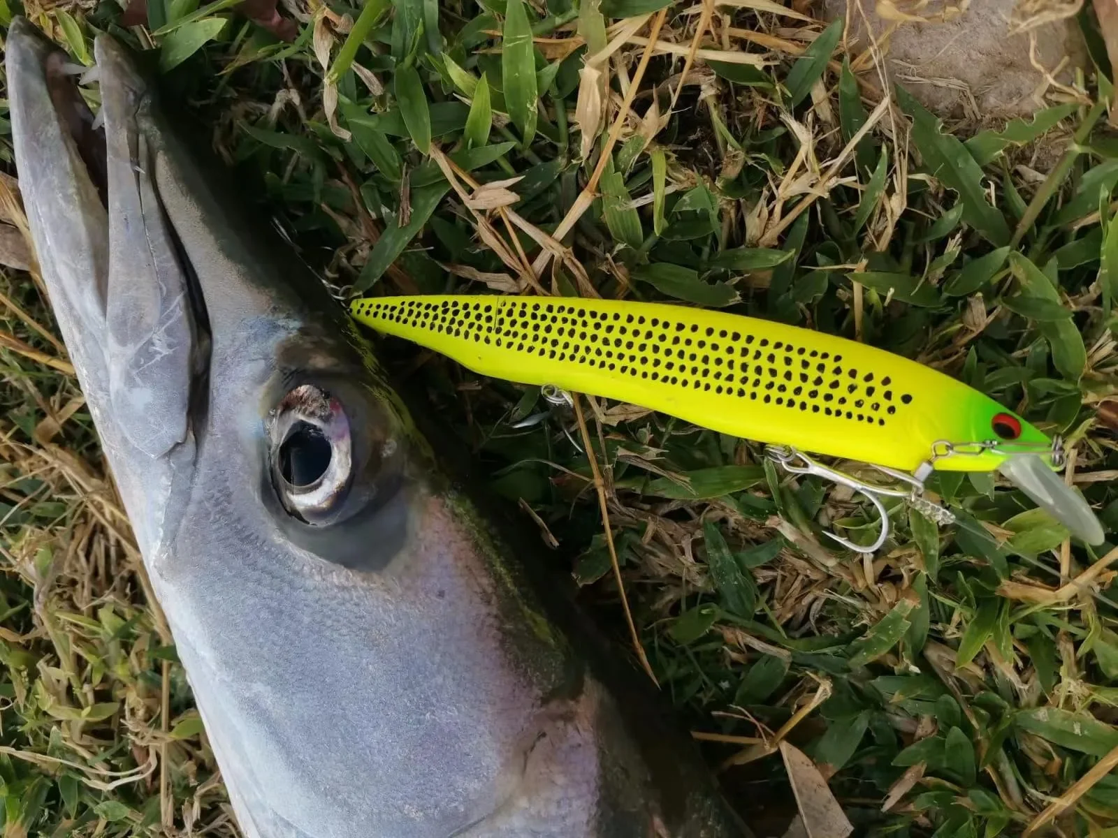 ¡Experimenta la emoción de pescar con este señuelo vibrante!