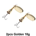 2pcs Golden 10g
