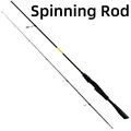 Spinning Rod
