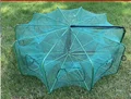 10holes cage