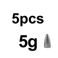 5g