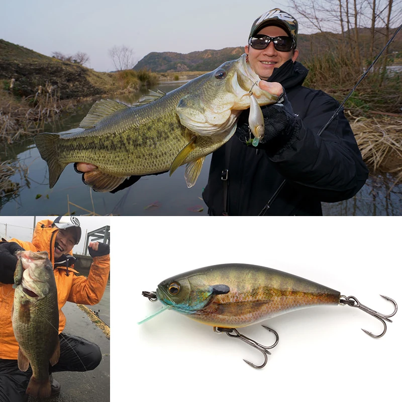 Cebo duro japonés Imakatsu Imae Clone Gekiasa Shad Ultra poco profundo arenque roca grasa señuelo - imagen 4