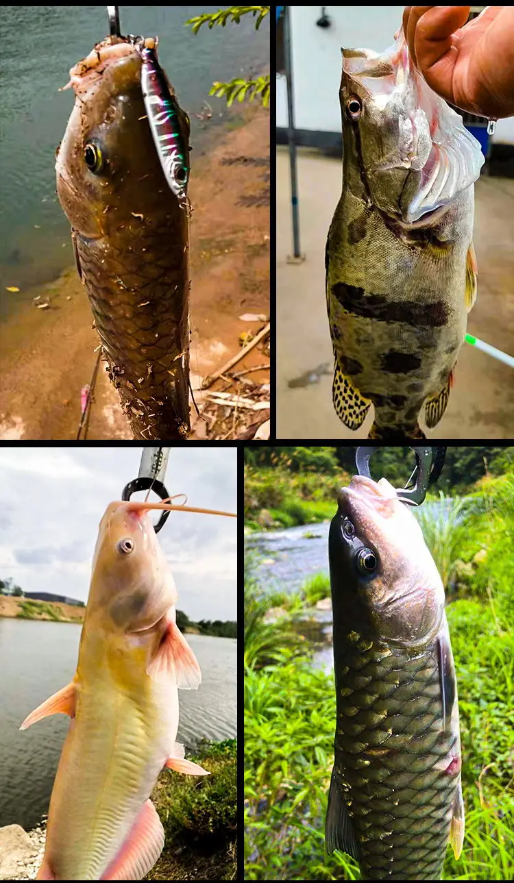 ¡Experimenta la emoción de la pesca con estas diversas capturas!