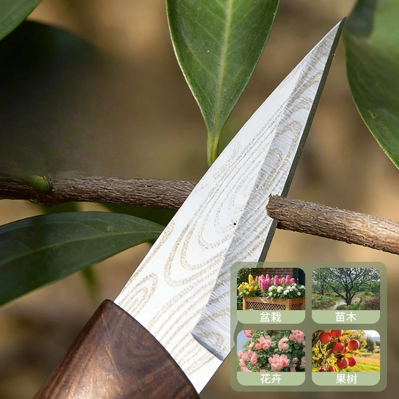 Cuchillo de Injerto Alta Dureza – Profesional para Frutales y Huerto - imagen 3