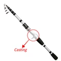 Casting Rod