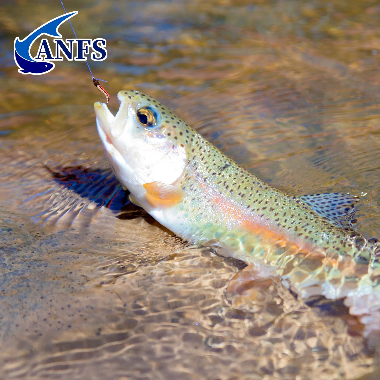 Ninfas Caddis ANFS Atadas a Mano para Trucha - imagen 4