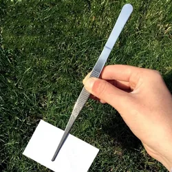 Pinzas de precisión de acero inoxidable profesionales para depilación