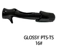 Glossy PTS-TS