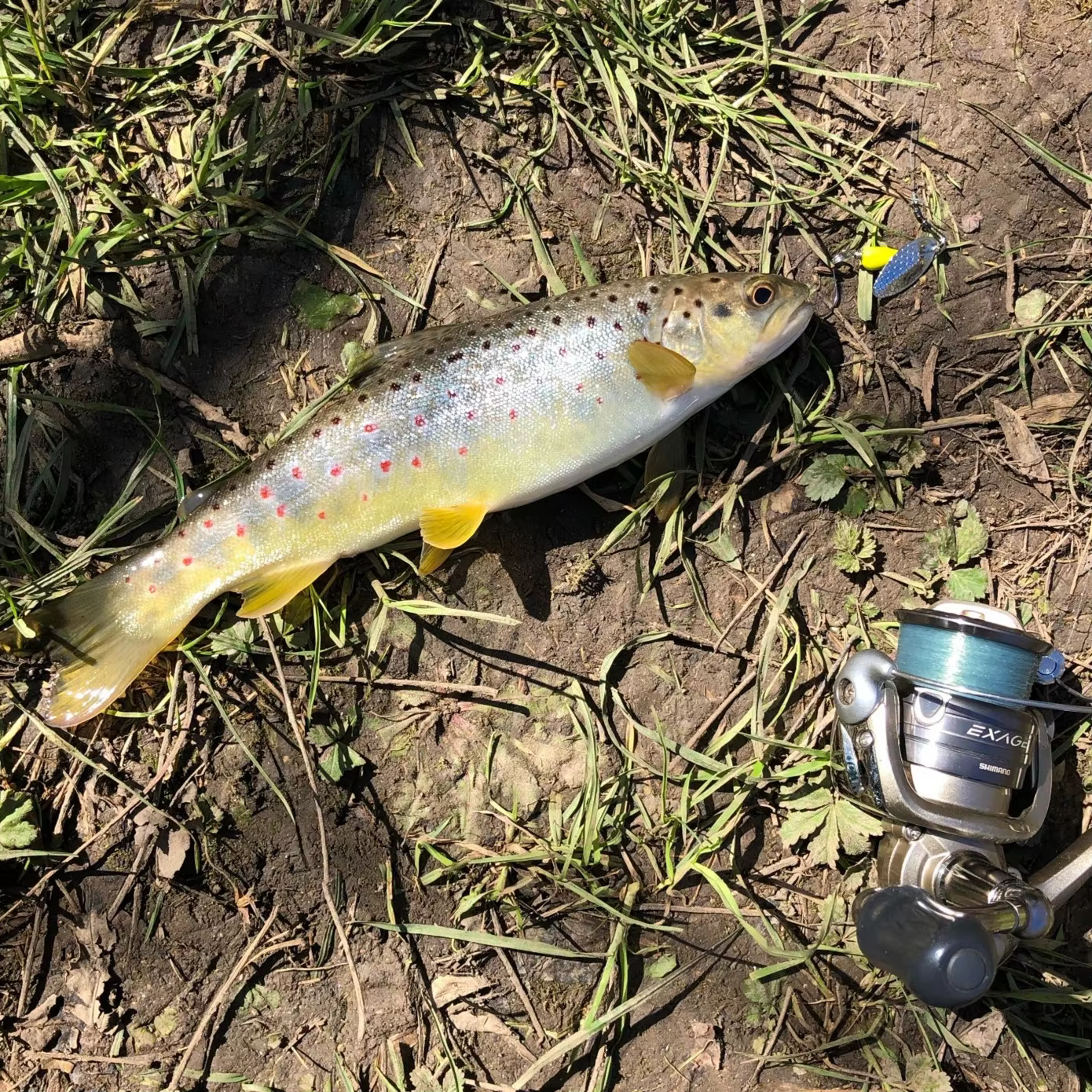 MUKUN Señuelo micro jigging con spinner cuchara - imagen 5