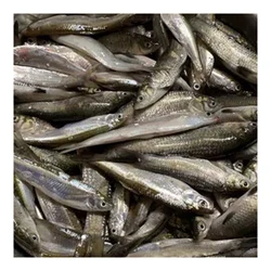 Señuelo de mosca con lentejuelas para pesca deportiva