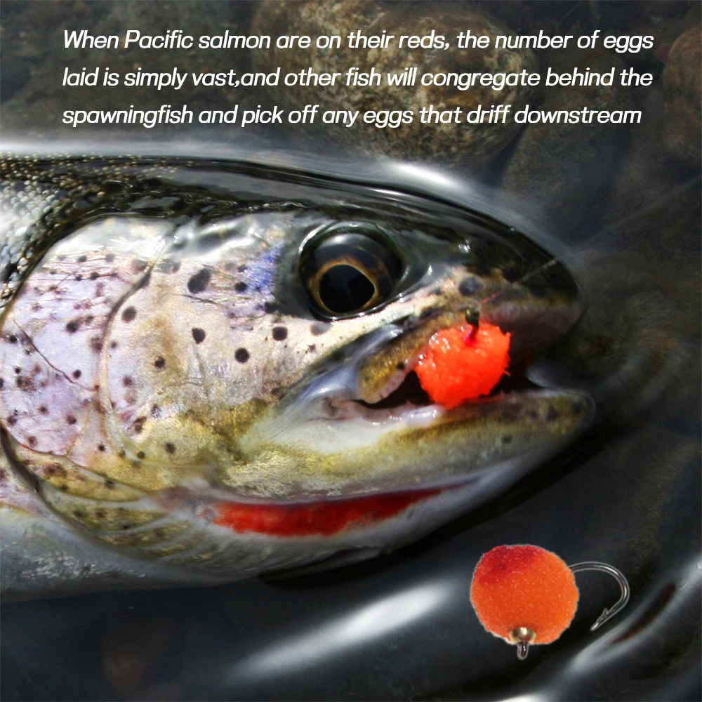 Bimoo-señuelo de pesca de cabeza de latón, cebos de cabeza de huevo, mosca #10, gancho, trucha, salmón, cabeza de acero, varios colores, 18 unids/caja - imagen 3