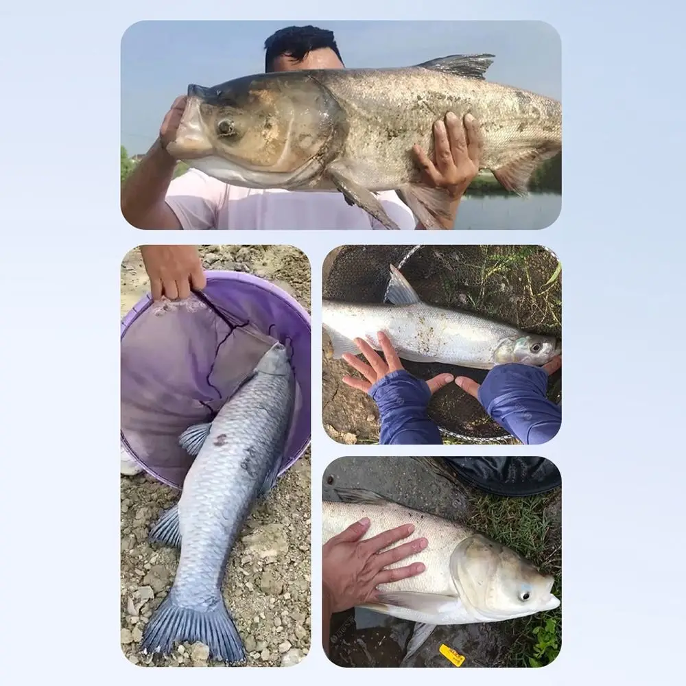 Flotador de pesca electrónico con indicador, flotadores de pesca en roca de cola larga de 4 luces, boya de flotador de tubo de deriva antideslizante, boya para pesca nocturna - imagen 2