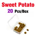 Sweet Potato