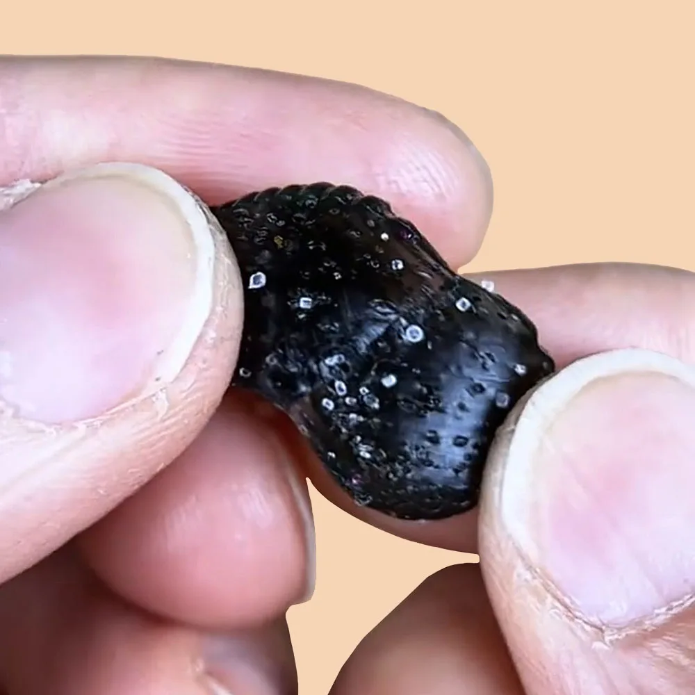 12 unids/caja Luya cebo suave PVC cebo falso Micro Material agua vesícula biliar pelota Rugby patata negro Pit pescado cebo salado y pescado - imagen 4