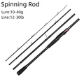 Spinning Rod