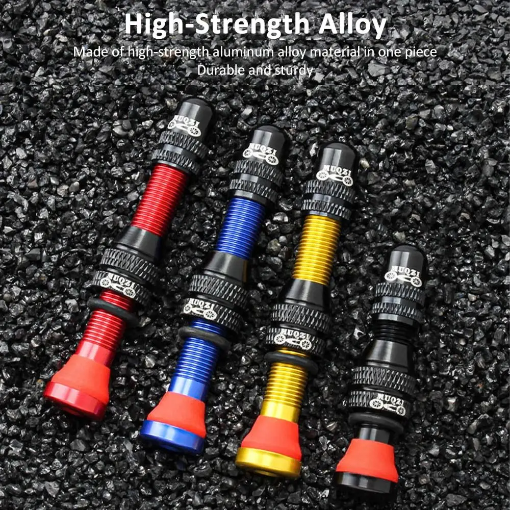 Válvula Schrader duradera para bicicleta, aleación de aluminio A/V, válvula de neumático sin cámara, núcleo de latón, accesorios de ciclismo al vacío, 40/60mm, 2 uds.