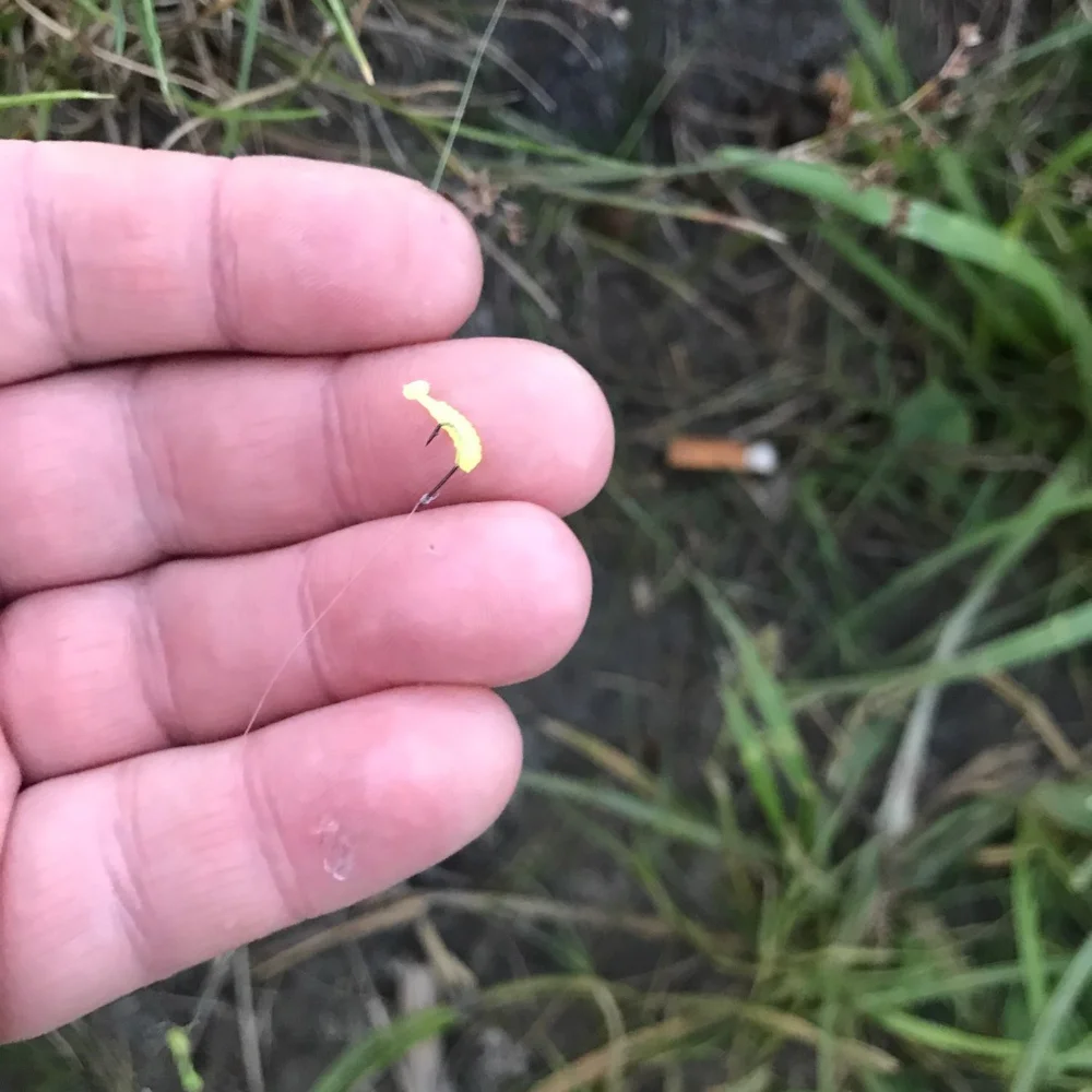 Mini señuelo suave 100 unids/lote señuelo de pesca wobbler 10mm 7 colores fácil brillo gusano pesca de carpa cebo de silicona Isca Artificial - imagen 4