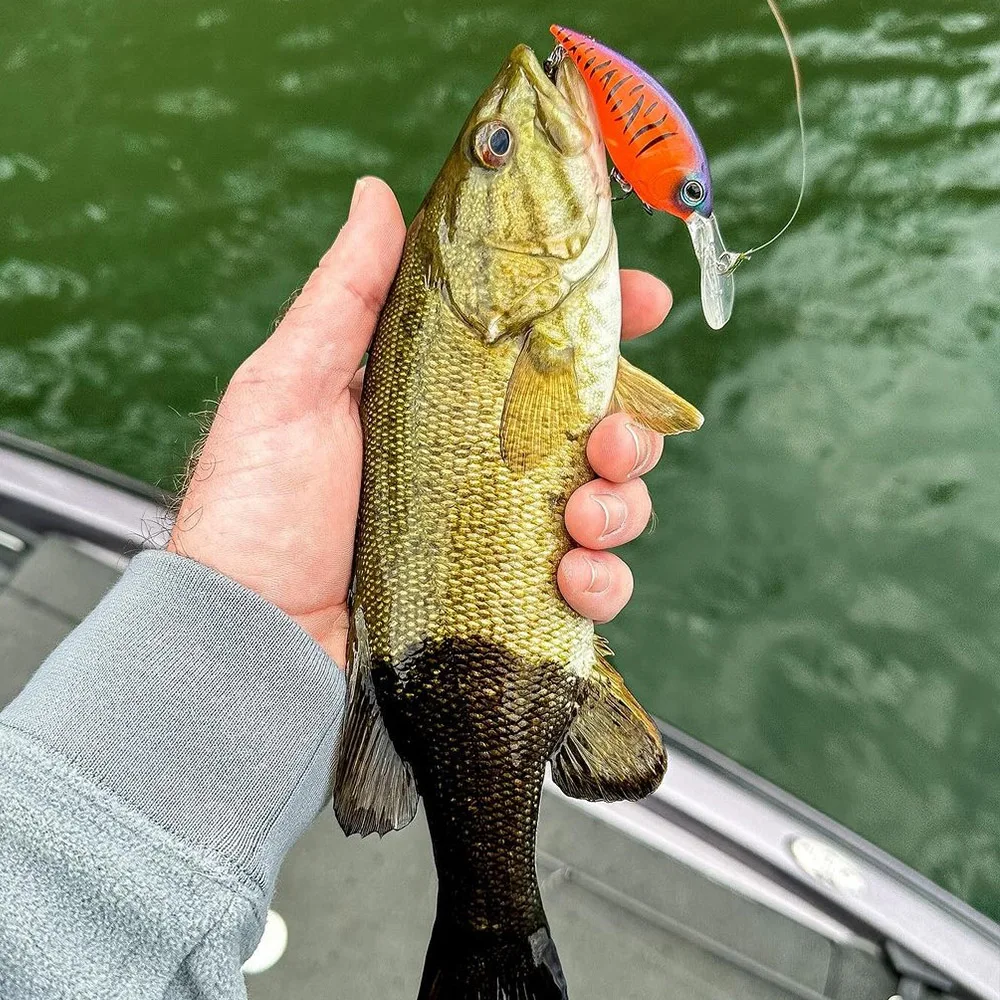 Señuelos de pesca Crankbait de 12,5 cm y 20,5g, cebo duro Artificial Isca japonés, Wobblers para lubina, carpa, aparejos de pesca de fundición larga - imagen 4