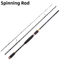 Spinning Rod