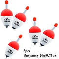 5pcs 20g