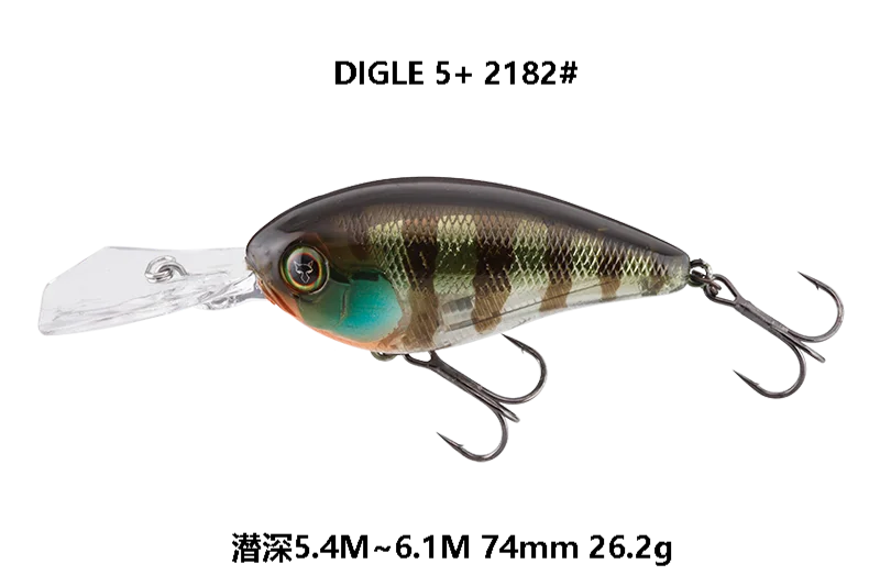 DIGLE 5  2182 