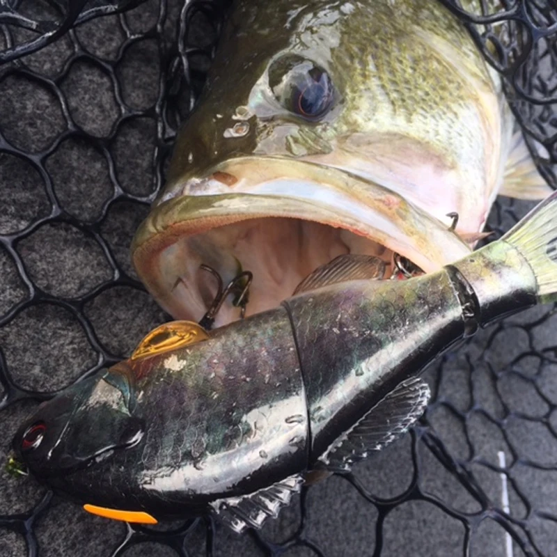 Señuelo JACKALL japonés, cebo de natación grande, tipo flotante, GANTAREL, pez multisección, 160mm, 70g, cebo para perca - imagen 3