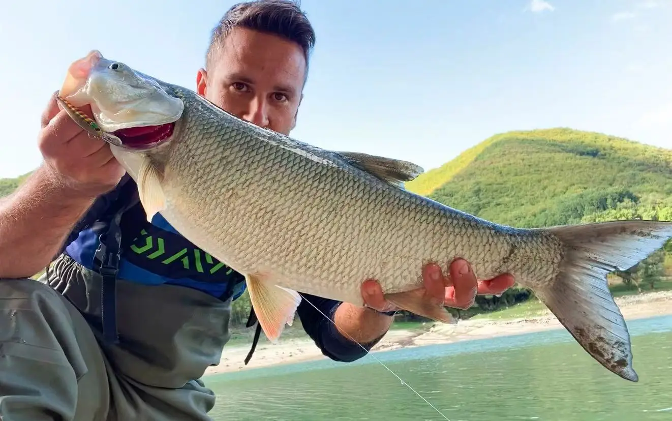 Jerry Rifle trucha Minnow señuelos duros Rock Spinning pesca Jerkbait Bass hundimiento lento enchufe pesca con caña 65mm 2,55 pulgadas 4,8g - imagen 3