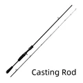 Casting Rod