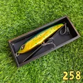 258--1920CA