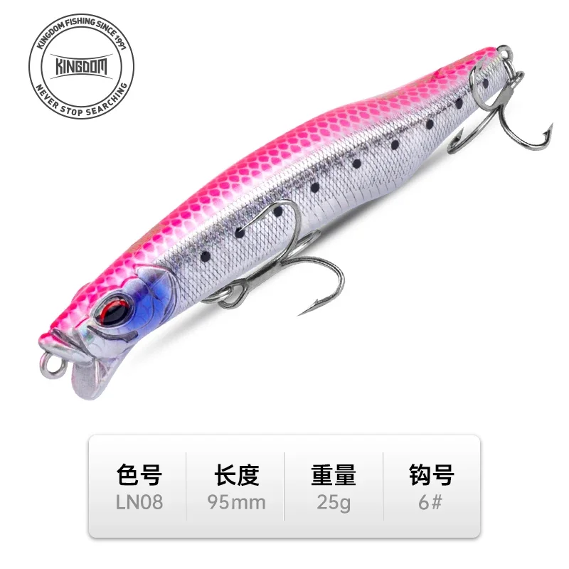 25G-9CM-LN08